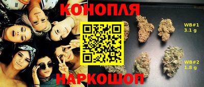 ешки Ставрополь