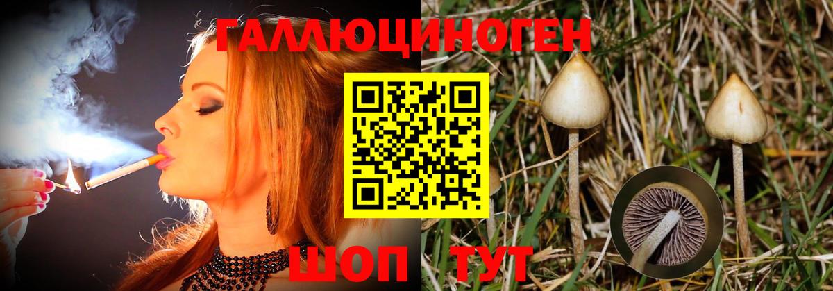 Омск  Галлюциногенные грибы MAGIC MUSHROOMS  Вход с VPN 